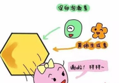 怀孕六个月从胎动能看出男女，这三种情况说明怀的是男孩