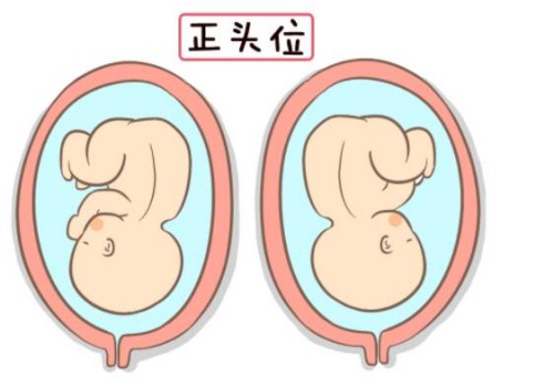 成都助孕：孕妇安胎保胎食物有哪些，多吃这些食物对身体只有好处