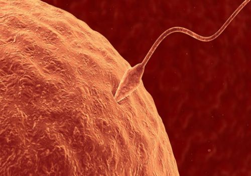 孕早期出血的6大原因，让你了解出血的原由