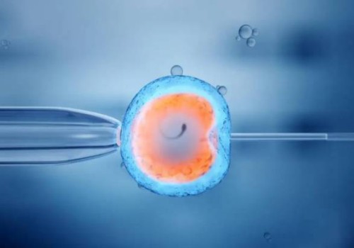 2022精子质量差如何能够提高试管成功率呢-